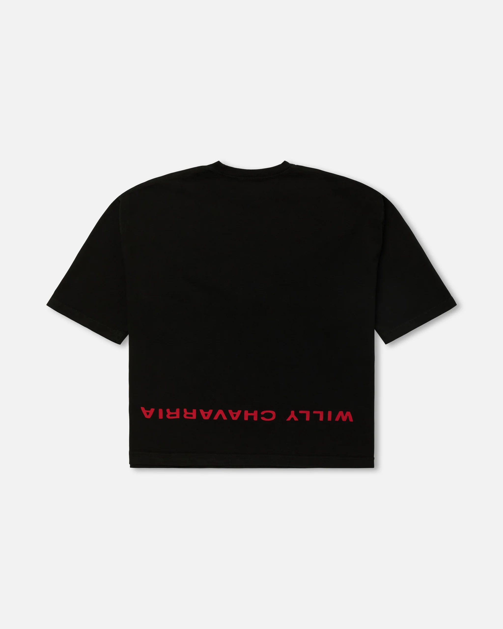 WELCOME TO AMERICA - BUFFALO TEE - BLACK BEAUTY - Image 2
