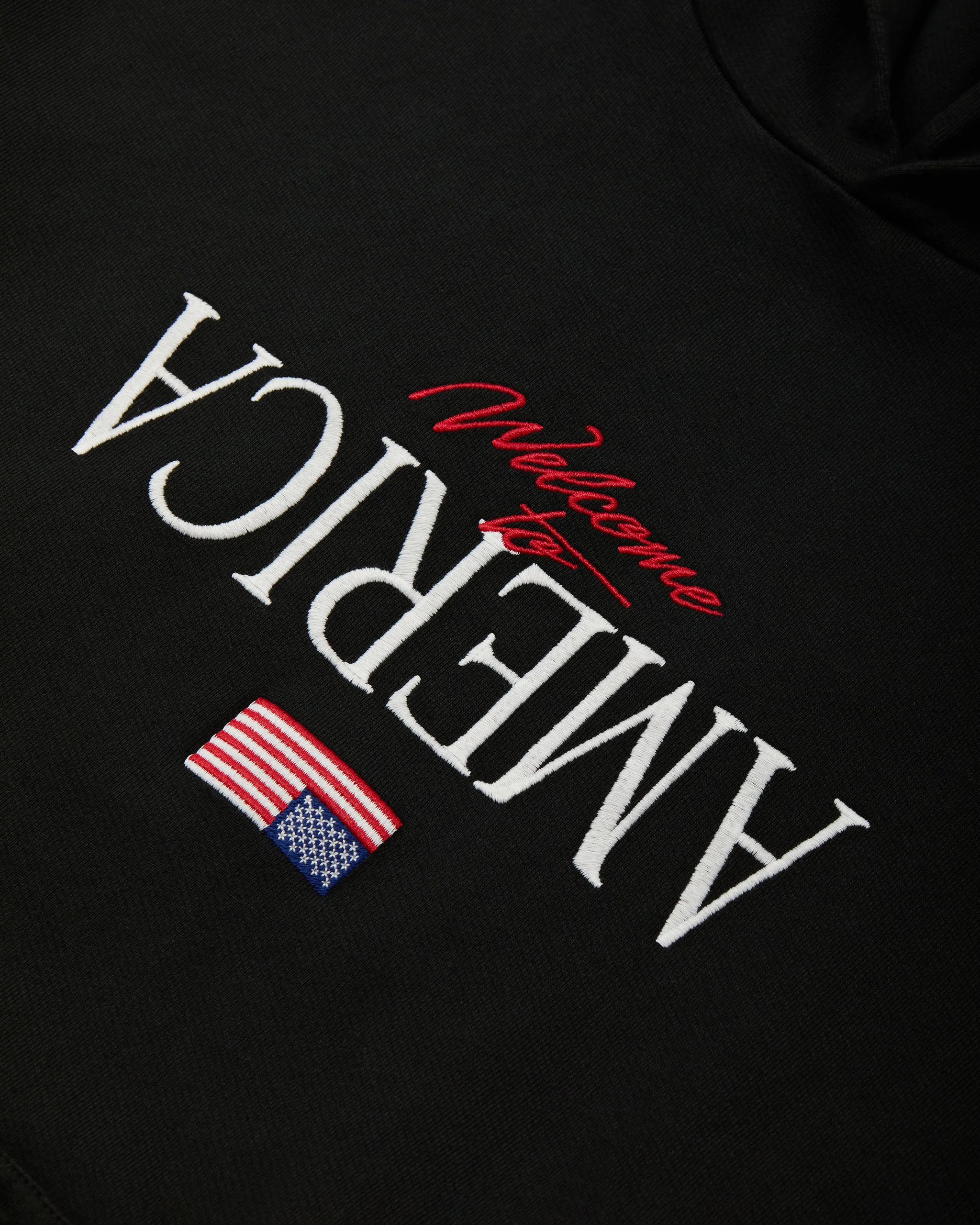 WELCOME TO AMERICA - HOOLIGAN HOODIE - BLACK BEAUTY - Image 3