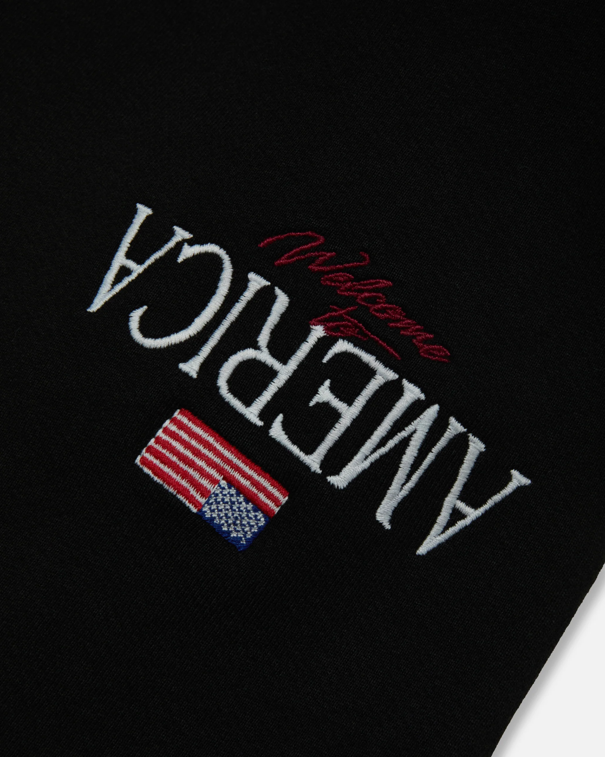 WELCOME TO AMERICA - SWEATPANT - BLACK BEAUTY - Image 3
